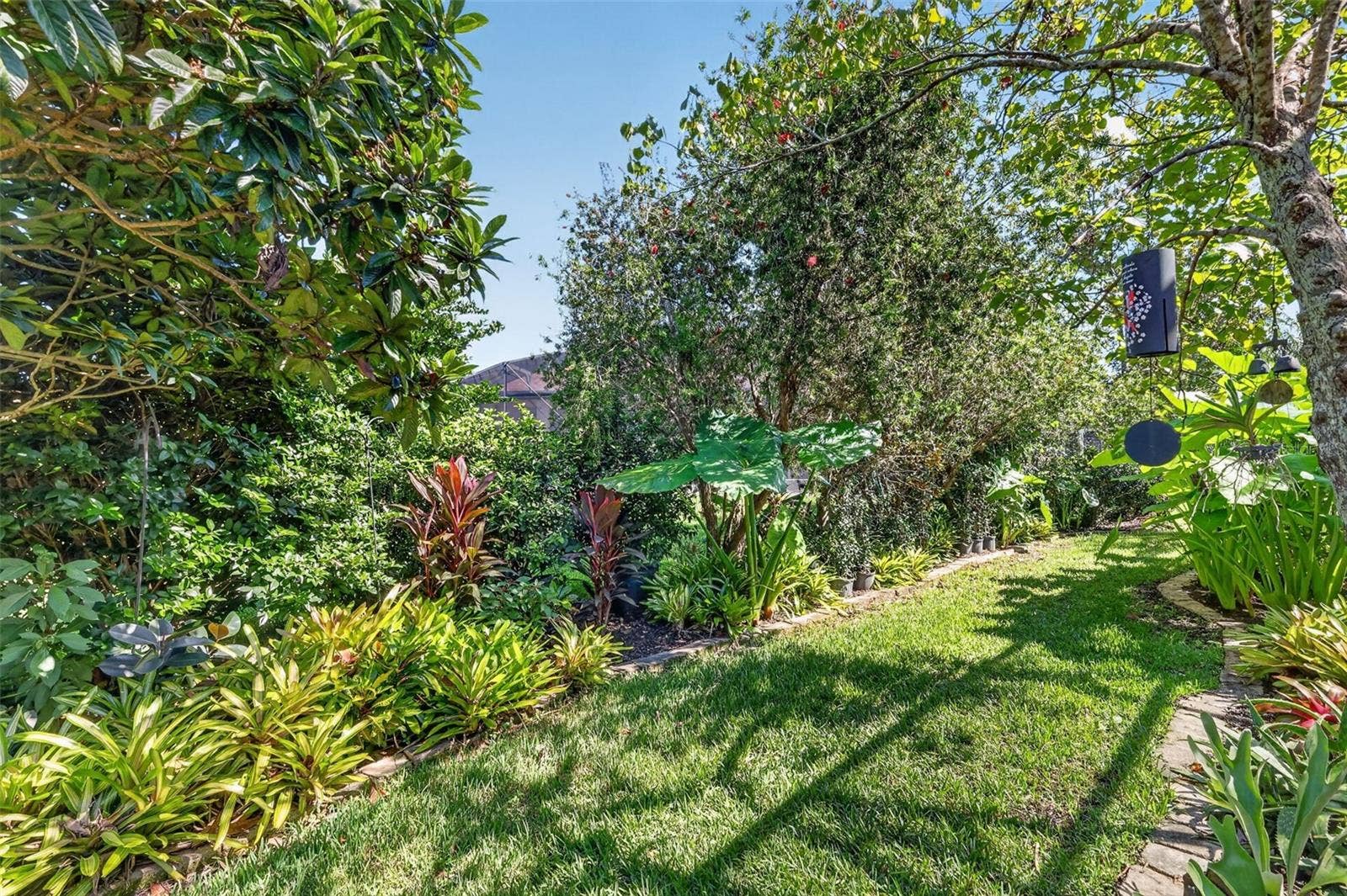 6121 HUNTERS RIDGE AVENUE, Leesburg, FL 34748 Tropical PRIVACY Landscaping!