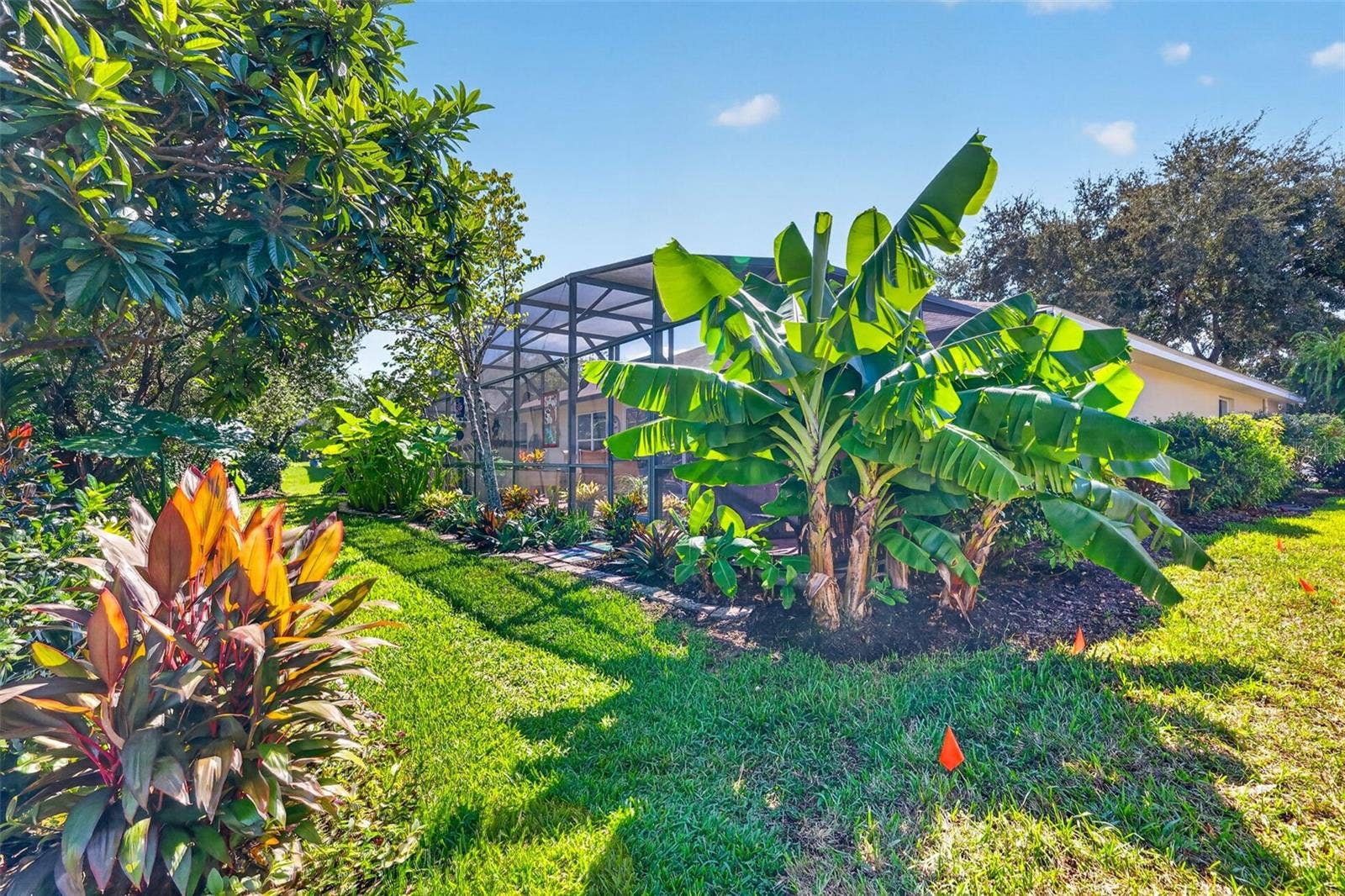 6121 HUNTERS RIDGE AVENUE, Leesburg, FL 34748 Rear and Side Elevation with Tropical PRIVACY Landscaping!