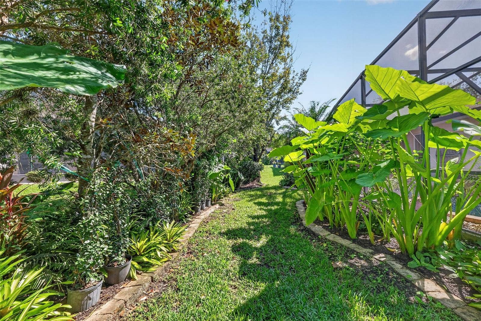 6121 HUNTERS RIDGE AVENUE, Leesburg, FL 34748 Rear Elevation with Tropical PRIVACY Landscaping!