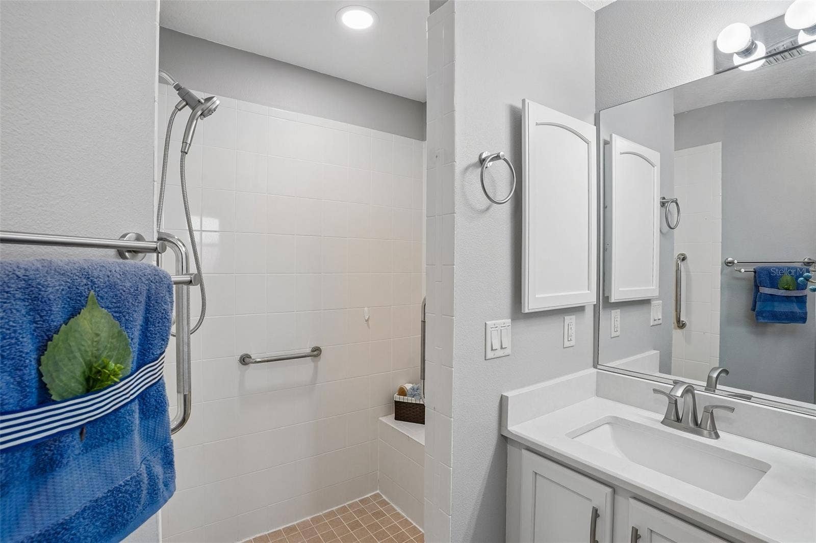 1897 CARYLE LANE, The Villages, FL 32162 Primary Bathroom