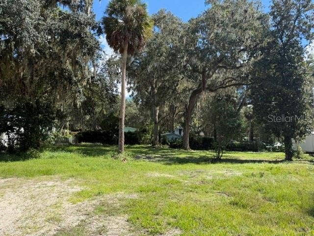 3687 CR 405DW, Lake Panasoffkee, FL 33538 3687 CR 405DW, Lake Panasoffkee, FL 33538