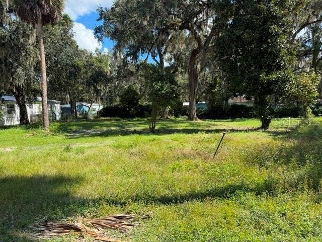 3687 CR 405DW, Lake Panasoffkee, FL 33538 3687 CR 405DW, Lake Panasoffkee, FL 33538