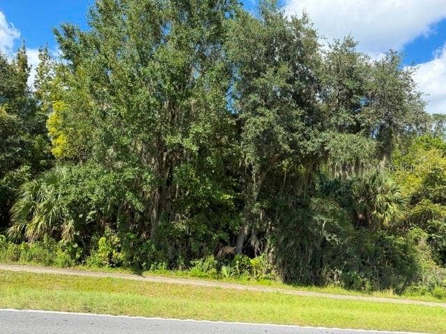 Property photo for 0000 0000 UNASSIGNED, Bushnell, FL