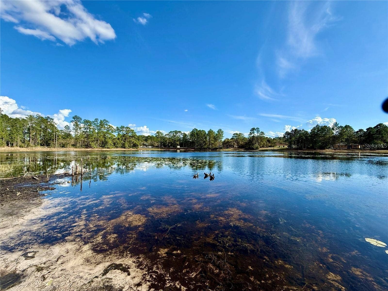 41428 ROYAL TRAILS ROAD, Eustis, FL 32736 Lake Marion within community