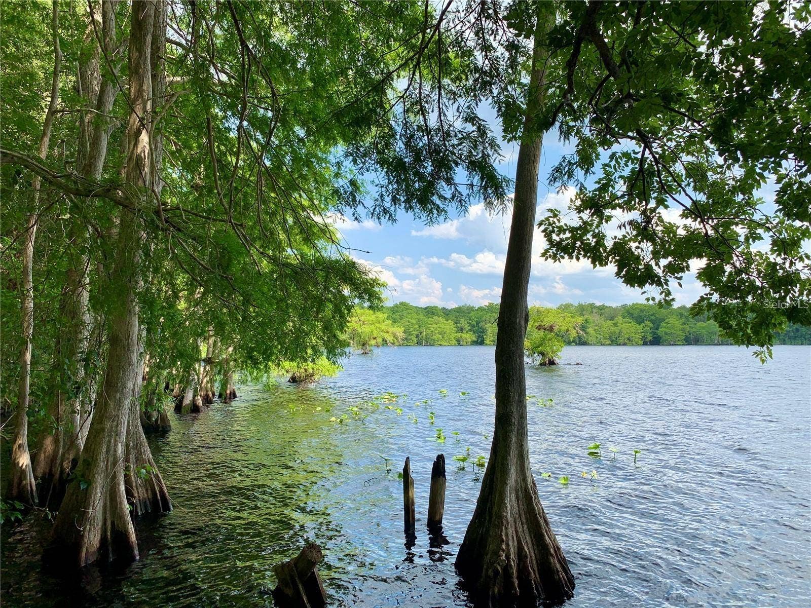 41428 ROYAL TRAILS ROAD, Eustis, FL 32736 Deeded access to Lake Norris