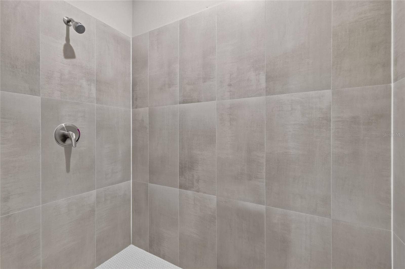 41428 ROYAL TRAILS ROAD, Eustis, FL 32736 Primary shower