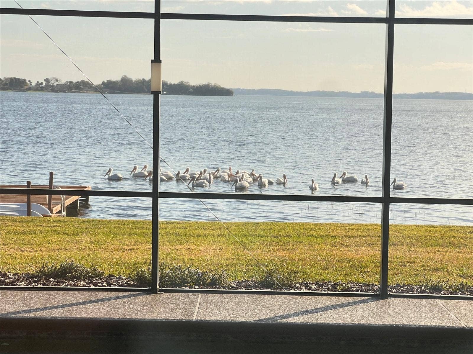 1416 MOSSWOOD DRIVE, Leesburg, FL 34748 pelican visitors