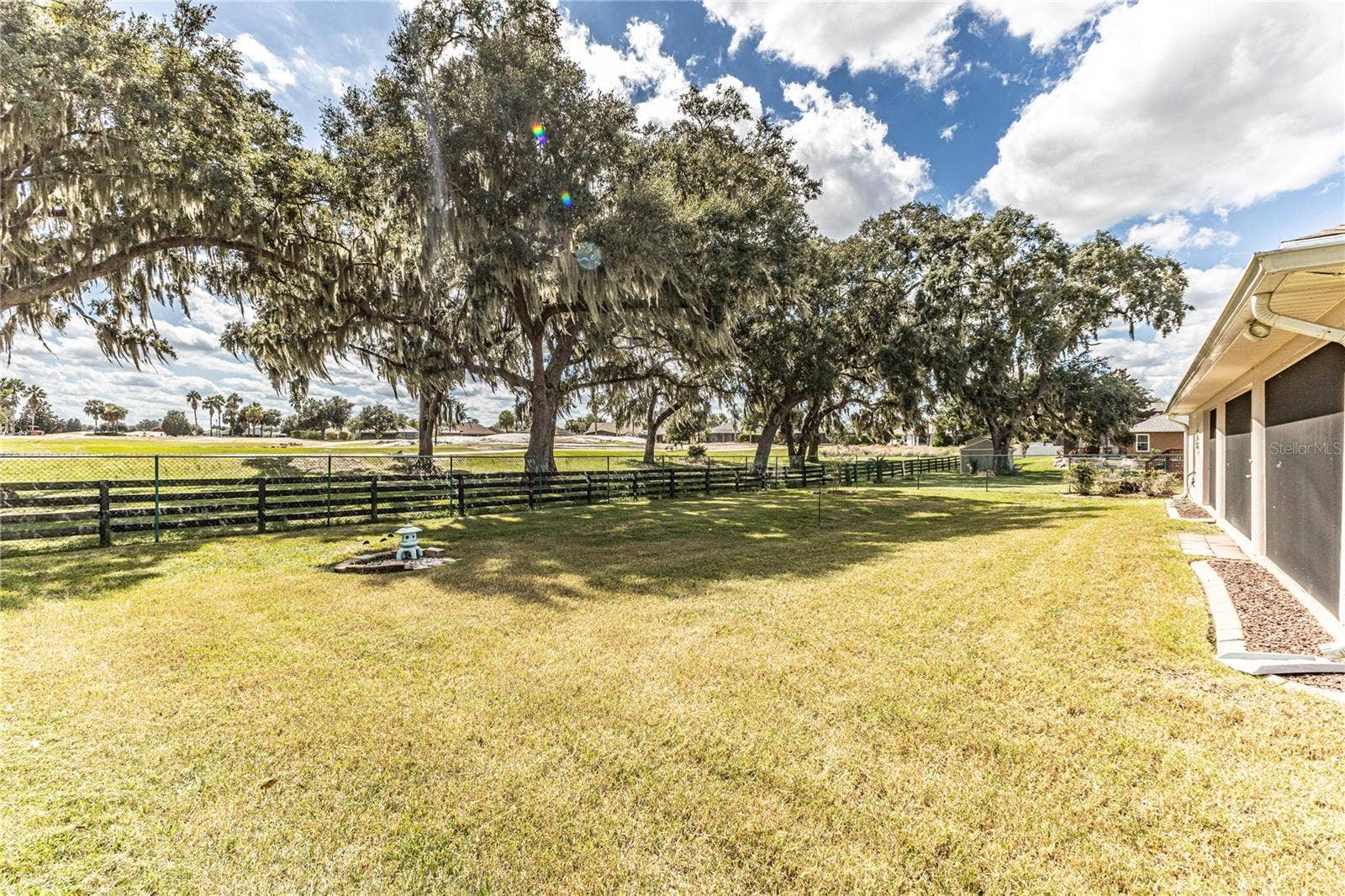 Back yard