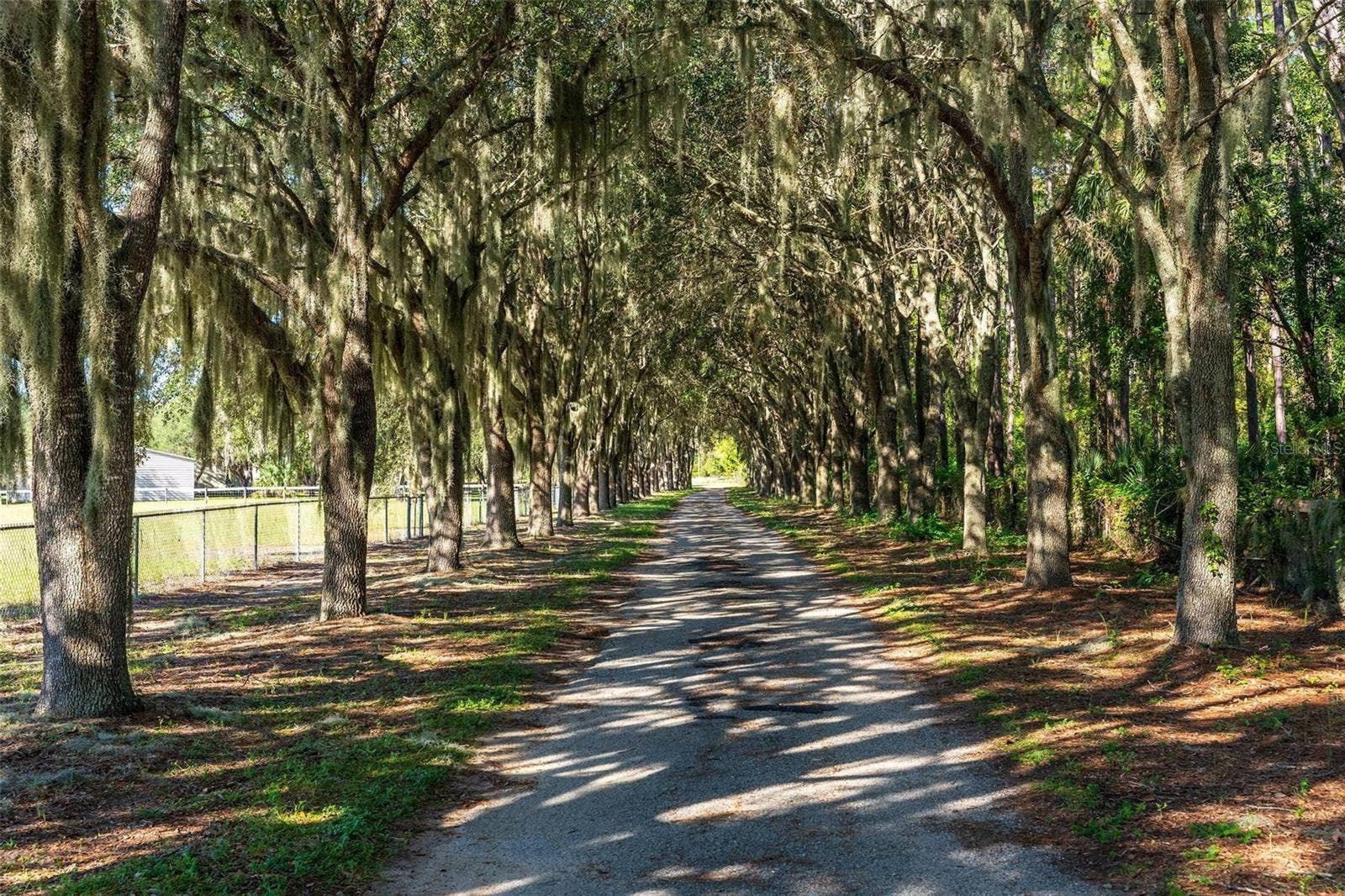 15330 SKY LAKE LANE, Tavares, FL 32778 ENTRANCE