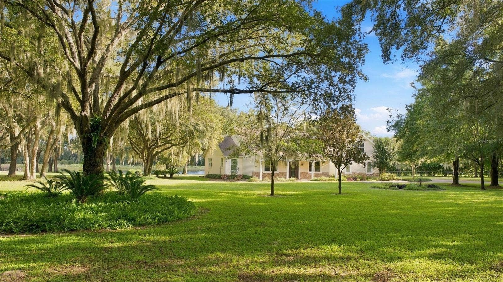 15330 SKY LAKE LANE, Tavares, FL 32778 MORE TREES AND MATURE LANDSCAPING.