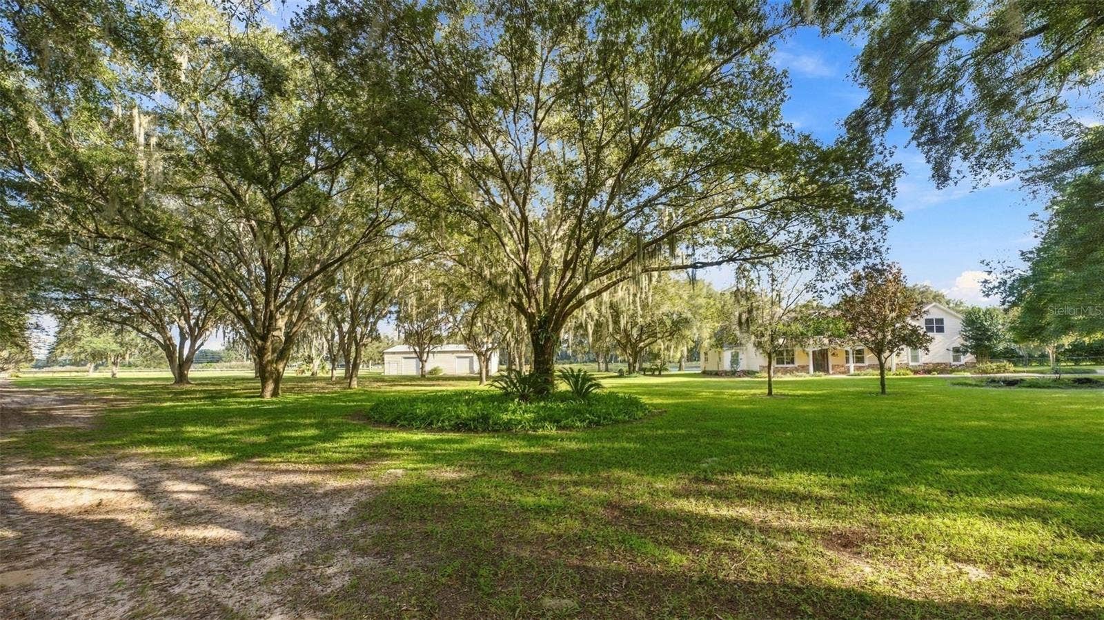 15330 SKY LAKE LANE, Tavares, FL 32778 BEAUTIFUL TREES