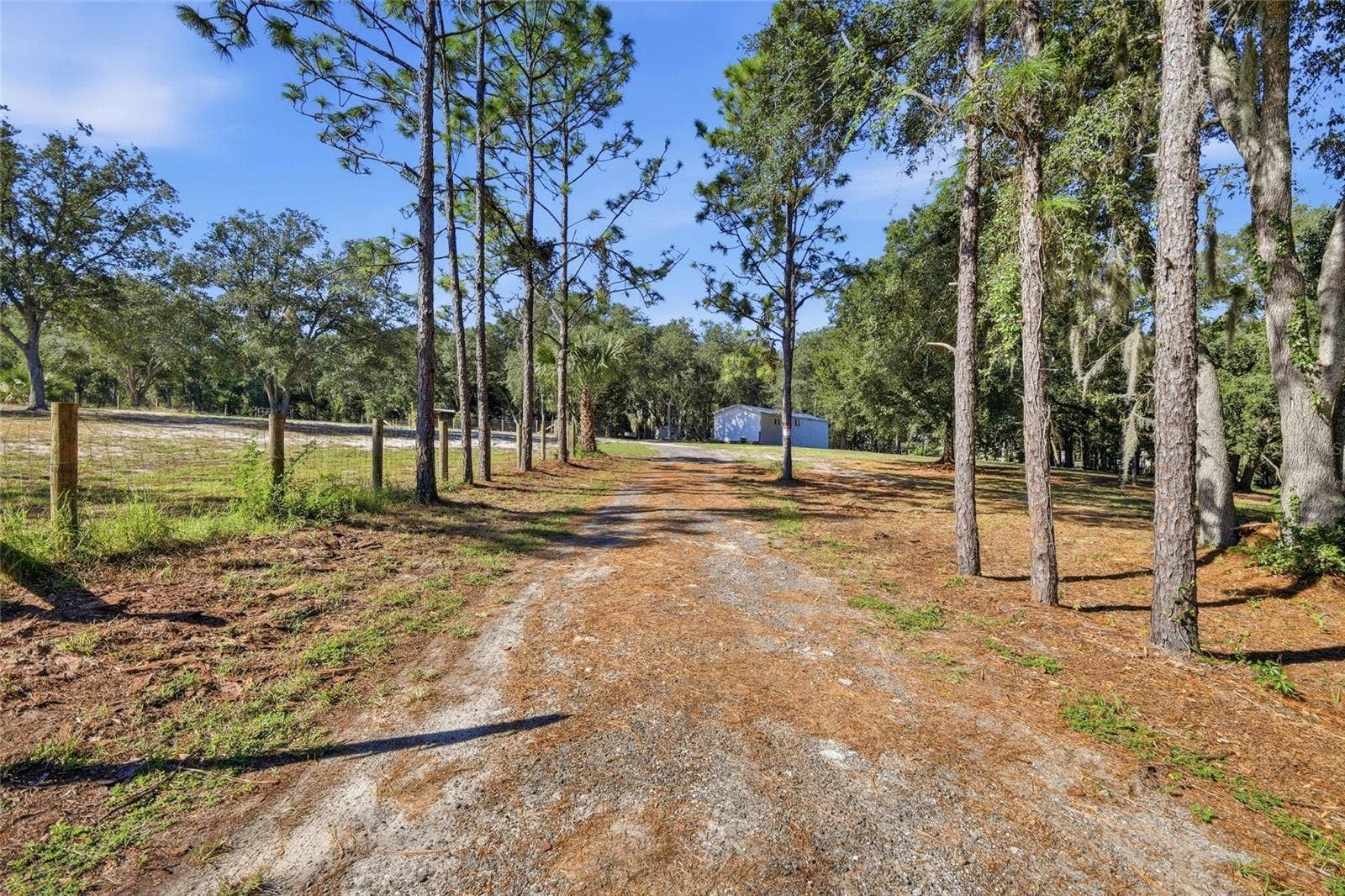 Driveway up to home & property