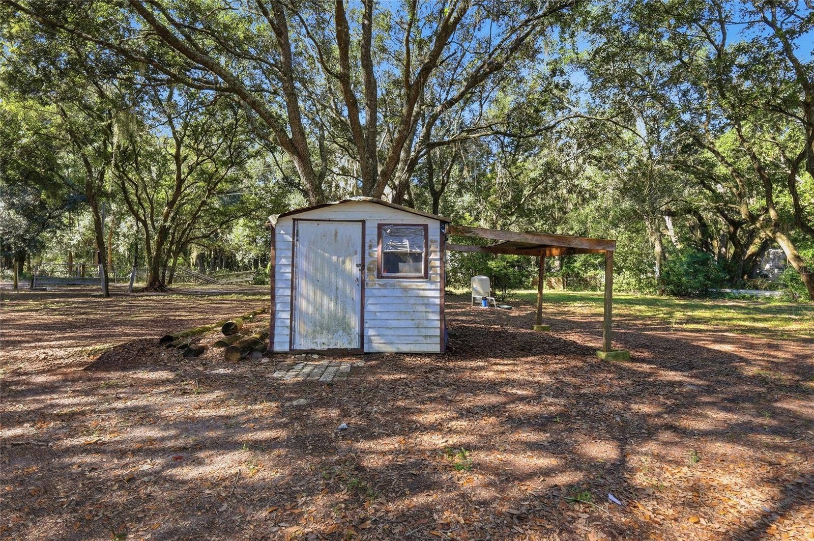 Shed