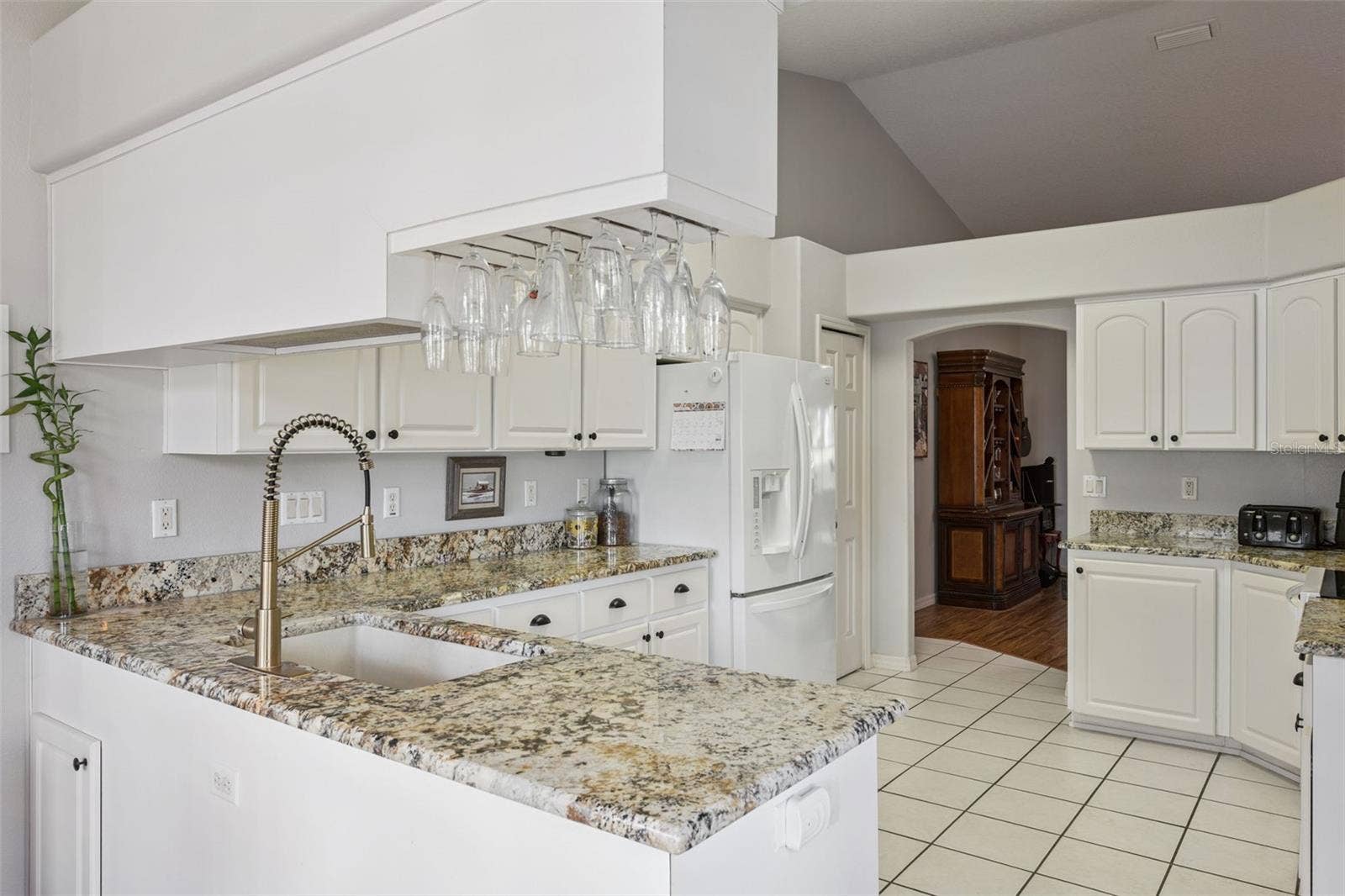 21113 EDINBOROUGH PLACE, Leesburg, FL 34748 Granite Counters