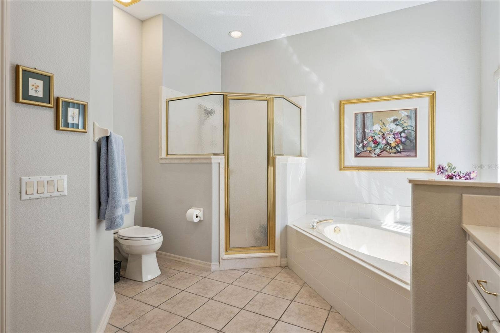 21113 EDINBOROUGH PLACE, Leesburg, FL 34748 Step in shower