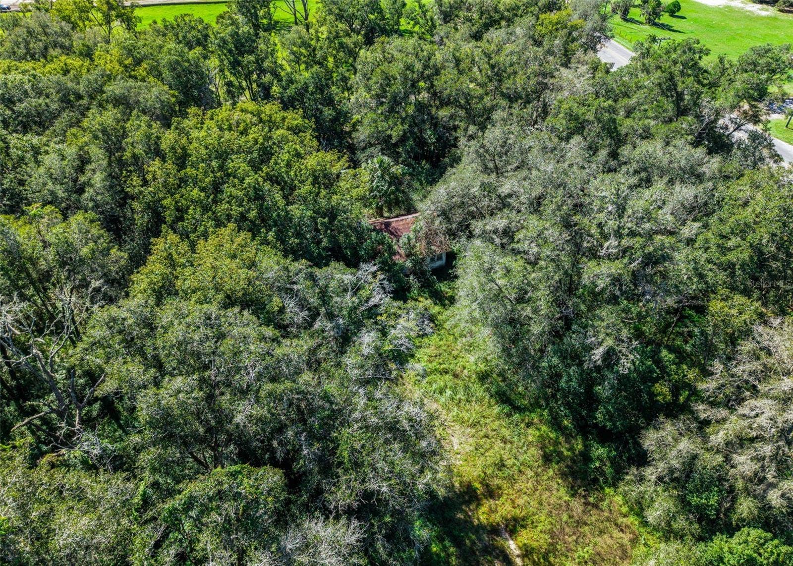 21520 COUNTY ROAD 44A, Eustis, FL 32736 21520 COUNTY ROAD 44A, Eustis, FL 32736