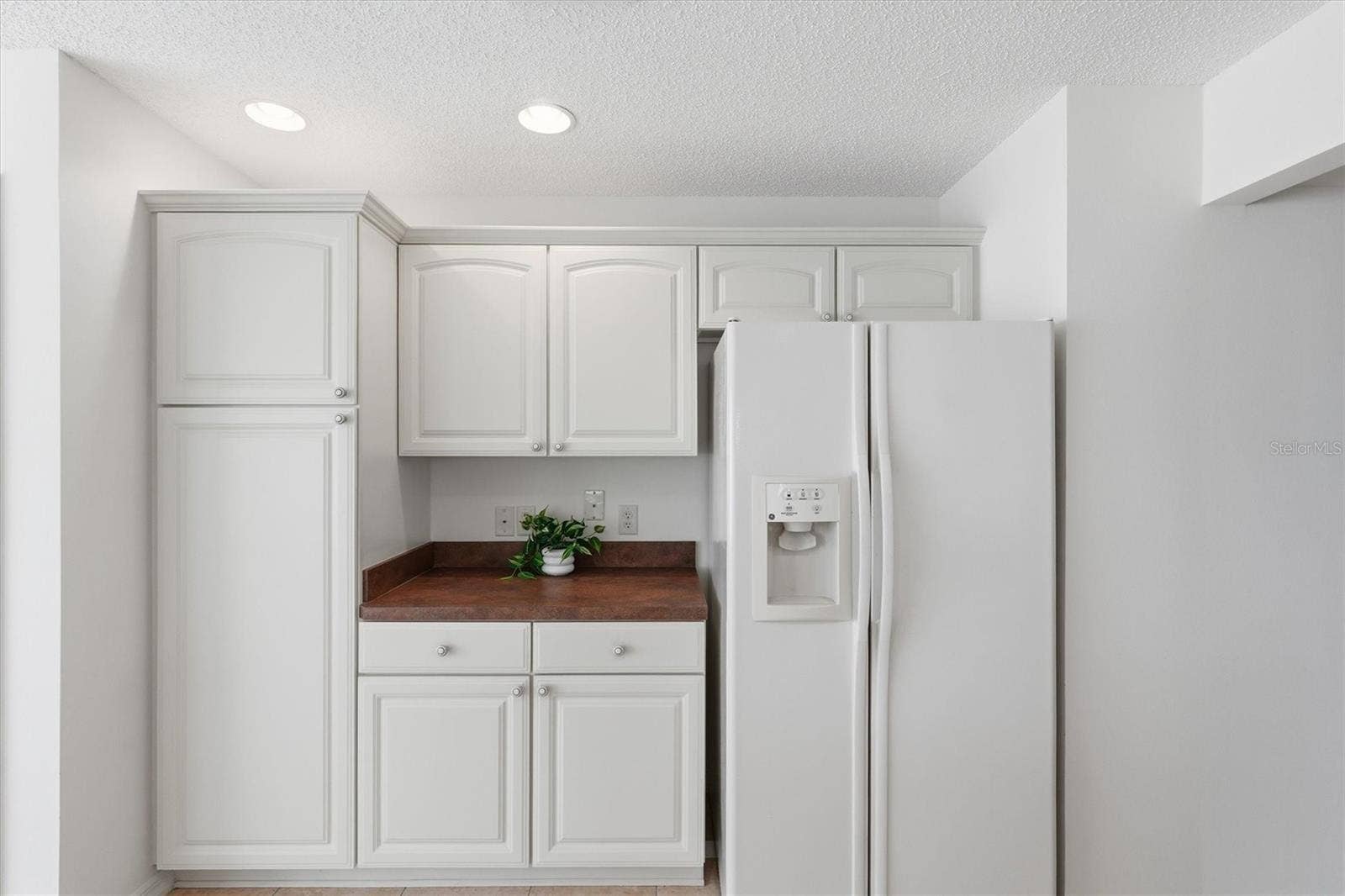1563 EASTOVER TERRACE, The Villages, FL 32162 Cabinet Pantry with Pull Out Shelves.