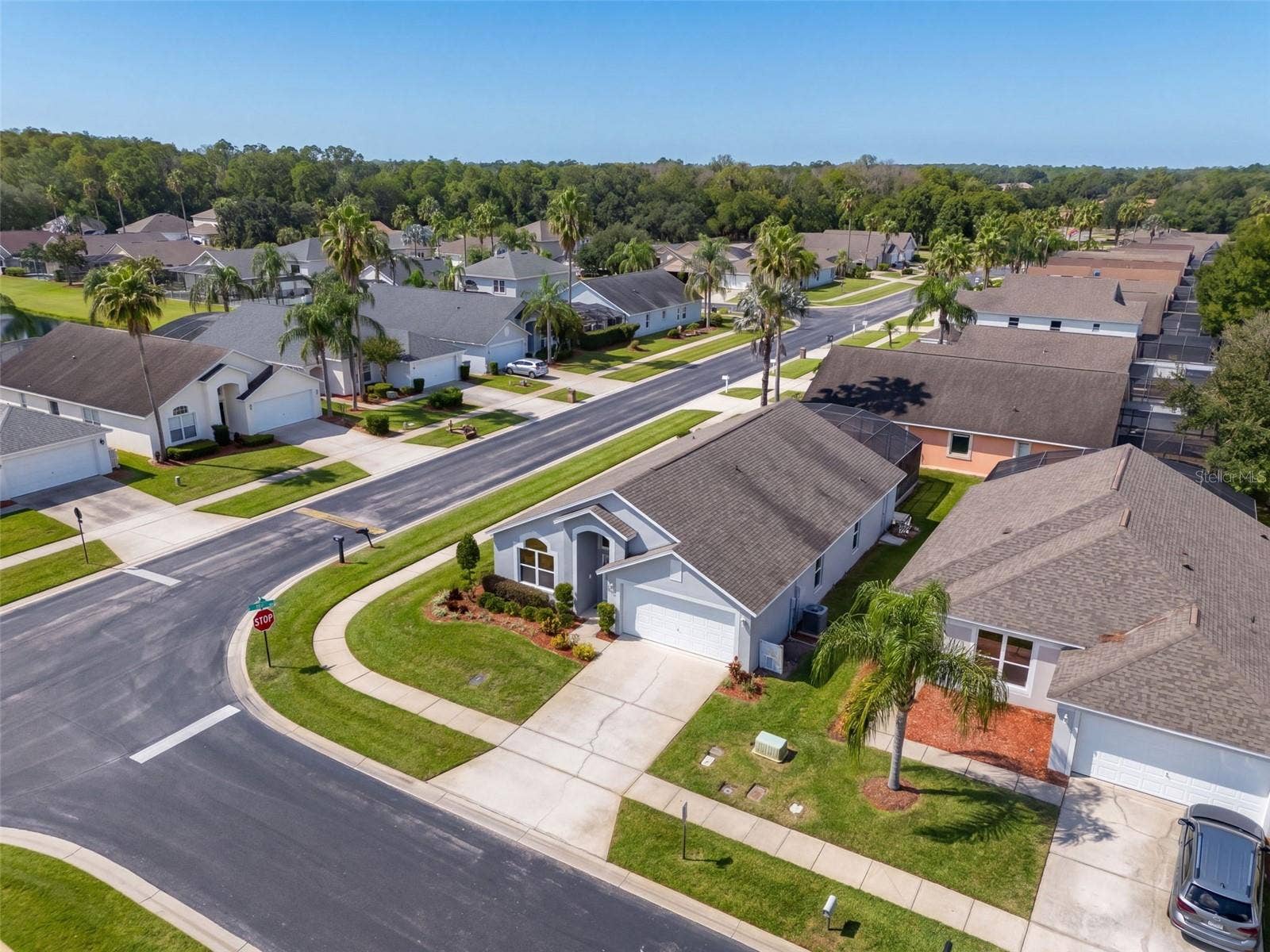 Aerial Views