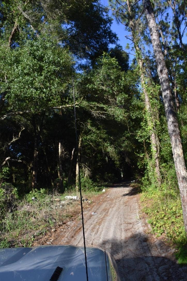 6320 N ORANGE BLOSSOM TRAIL, Mount Dora, FL 32757 6320 N ORANGE BLOSSOM TRAIL, Mount Dora, FL 32757