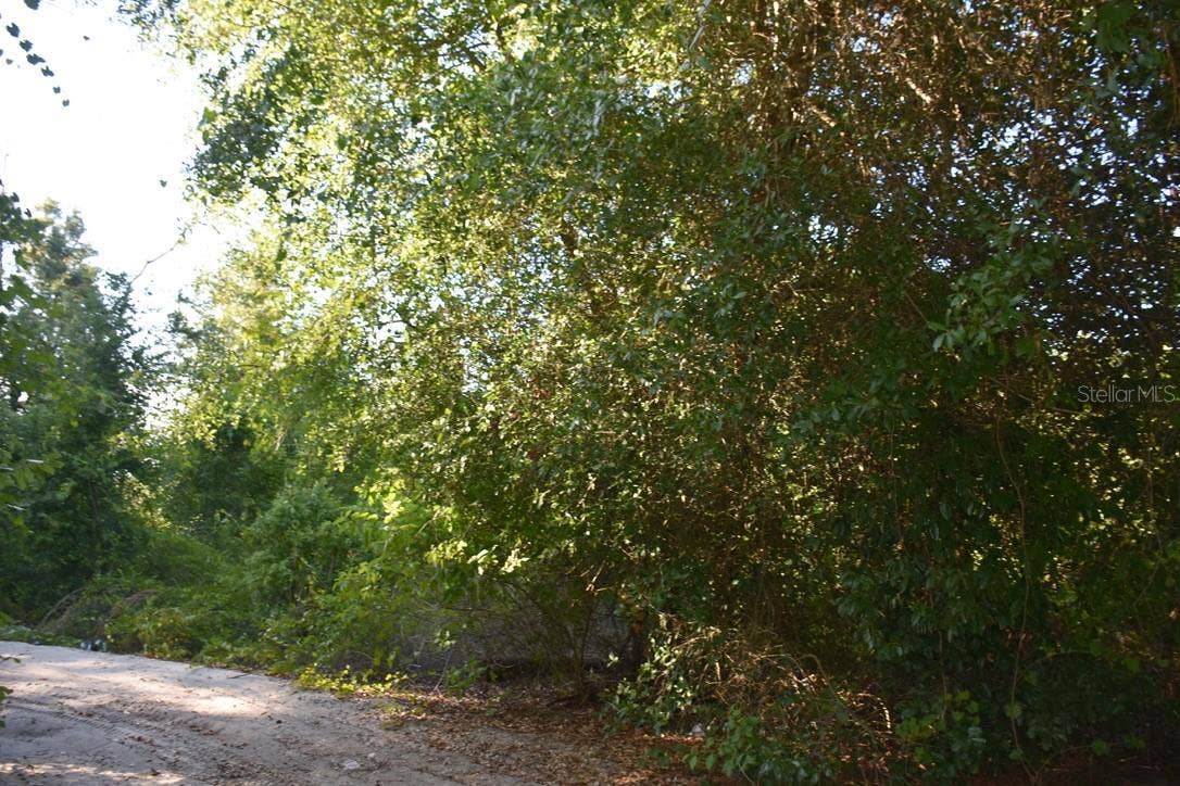 6320 N ORANGE BLOSSOM TRAIL, Mount Dora, FL 32757 6320 N ORANGE BLOSSOM TRAIL, Mount Dora, FL 32757