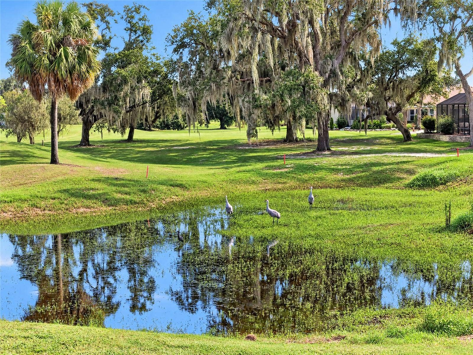 440 CARRERA DRIVE, The Villages, FL 32159 440 CARRERA DRIVE, The Villages, FL 32159