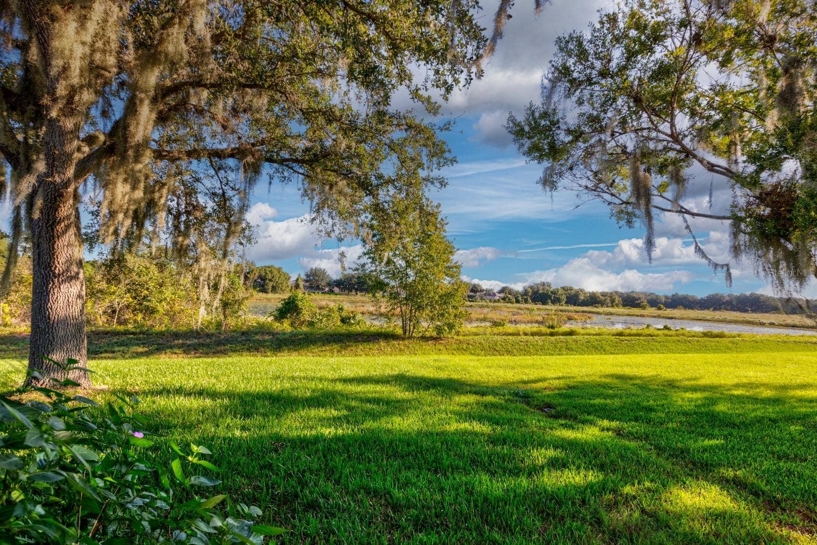 5703 ILLUMINATION LANE, Leesburg, FL 34748