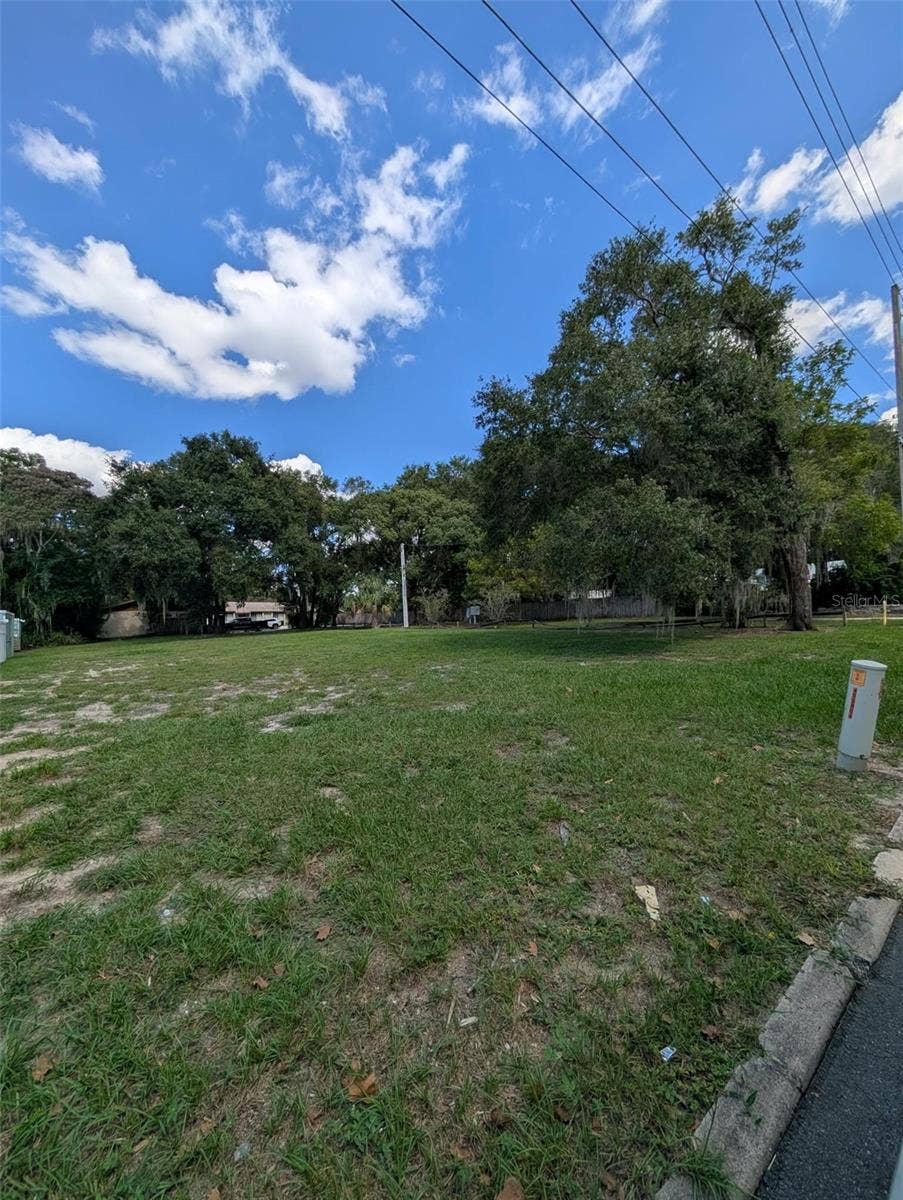 731 LIBERTY AVENUE, Mount Dora, FL 32757 731 LIBERTY AVENUE, Mount Dora, FL 32757