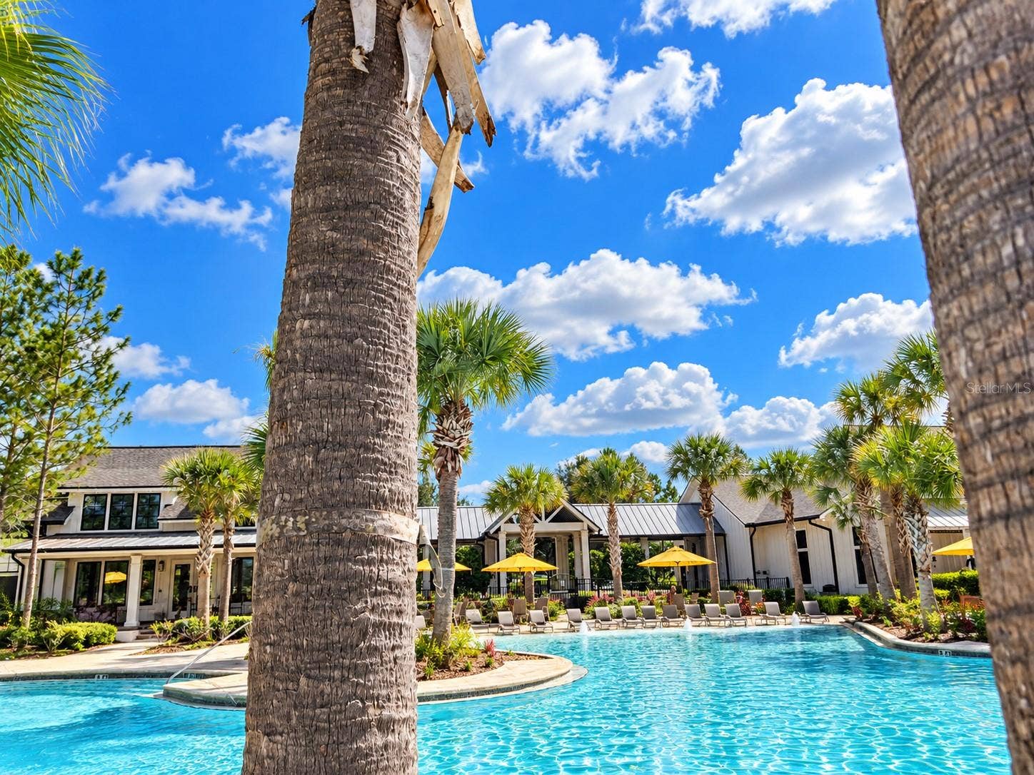 46 OSPREY MILLS LANE, St Augustine, FL 32092 46 OSPREY MILLS LANE, St Augustine, FL 32092