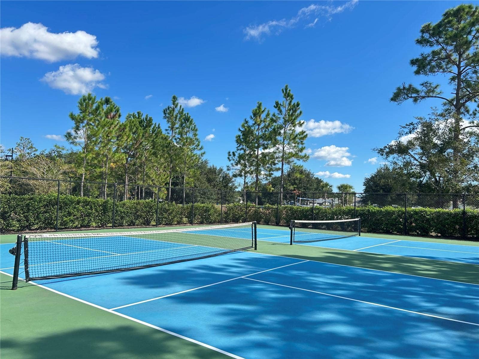 46 OSPREY MILLS LANE, St Augustine, FL 32092 46 OSPREY MILLS LANE, St Augustine, FL 32092