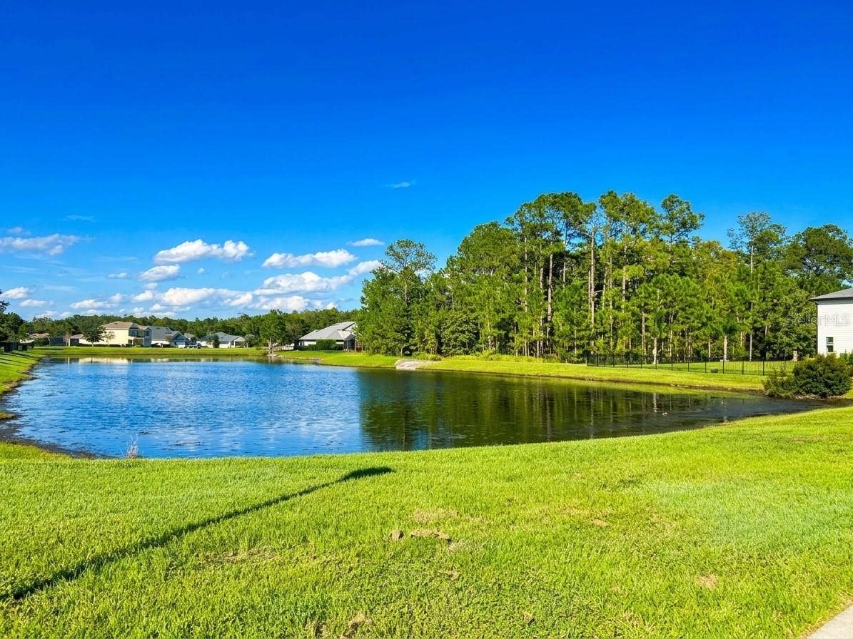 46 OSPREY MILLS LANE, St Augustine, FL 32092 46 OSPREY MILLS LANE, St Augustine, FL 32092