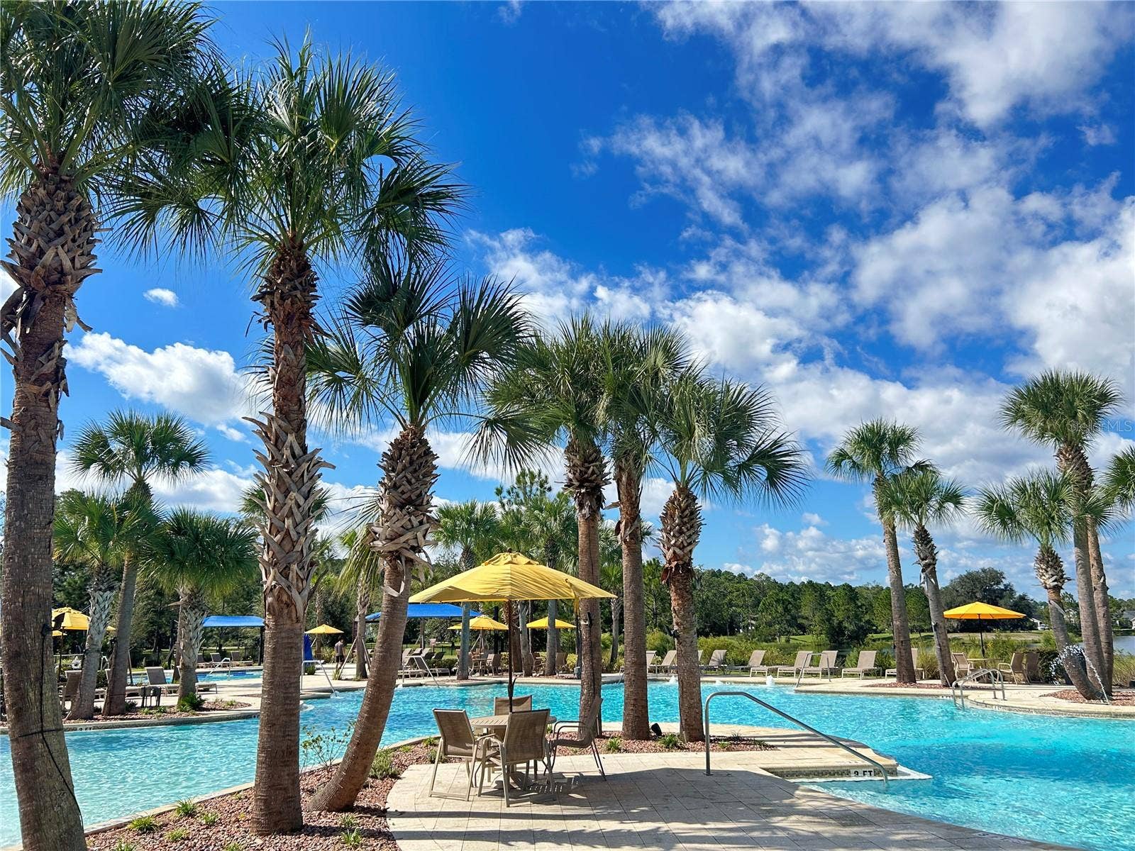 46 OSPREY MILLS LANE, St Augustine, FL 32092 46 OSPREY MILLS LANE, St Augustine, FL 32092