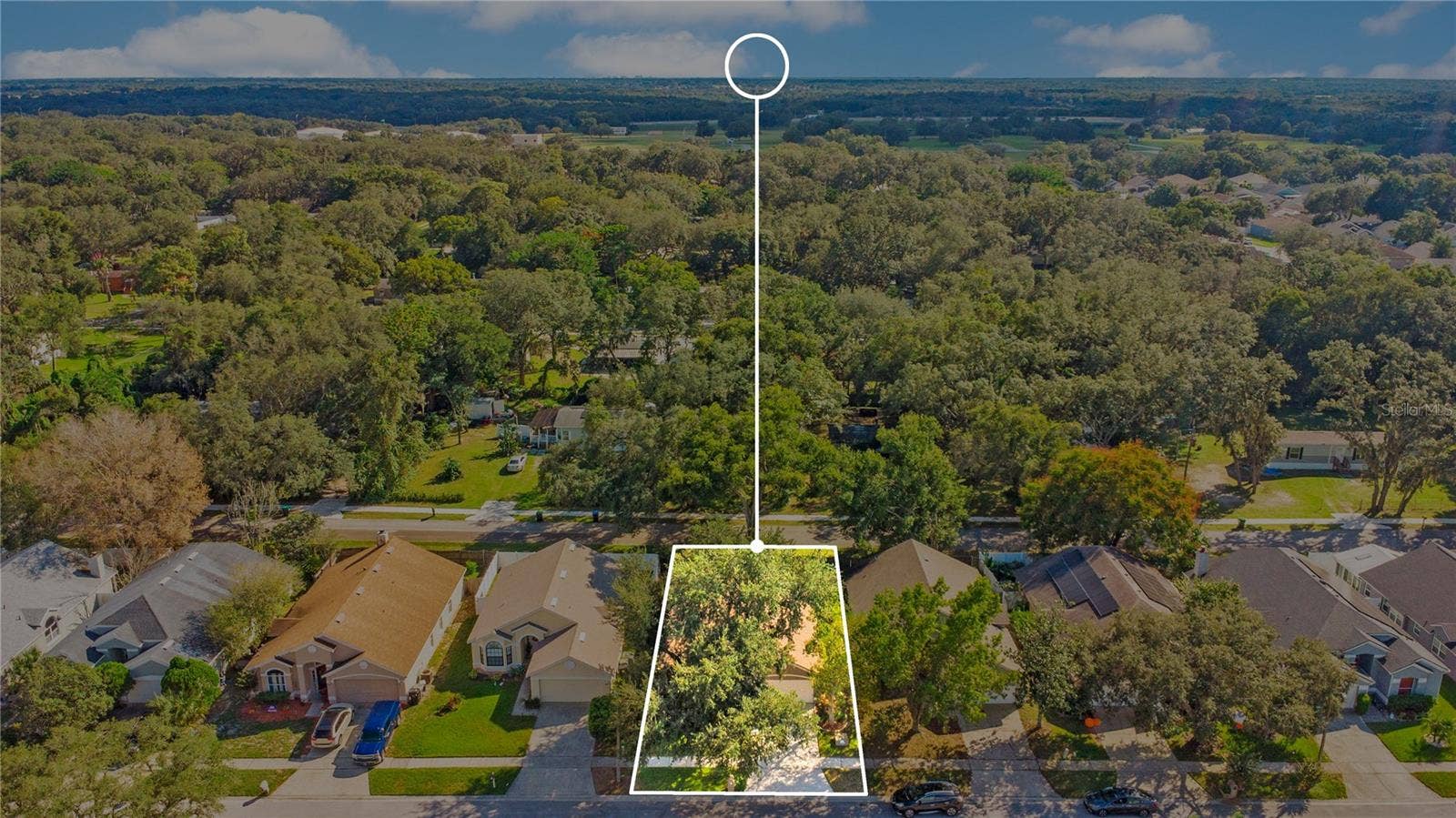 1248 WOODFIELD OAKS DRIVE, Apopka, FL 32703 Aerial of Home Outlined