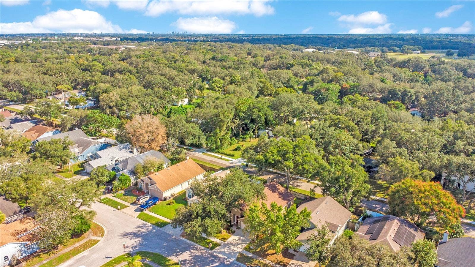 1248 WOODFIELD OAKS DRIVE, Apopka, FL 32703 Aerial of Neighborhood