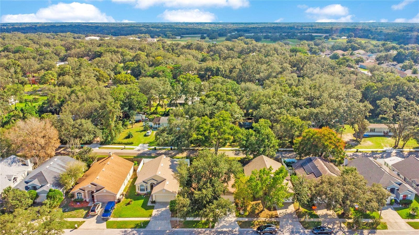1248 WOODFIELD OAKS DRIVE, Apopka, FL 32703 Aerial of Neighborhood