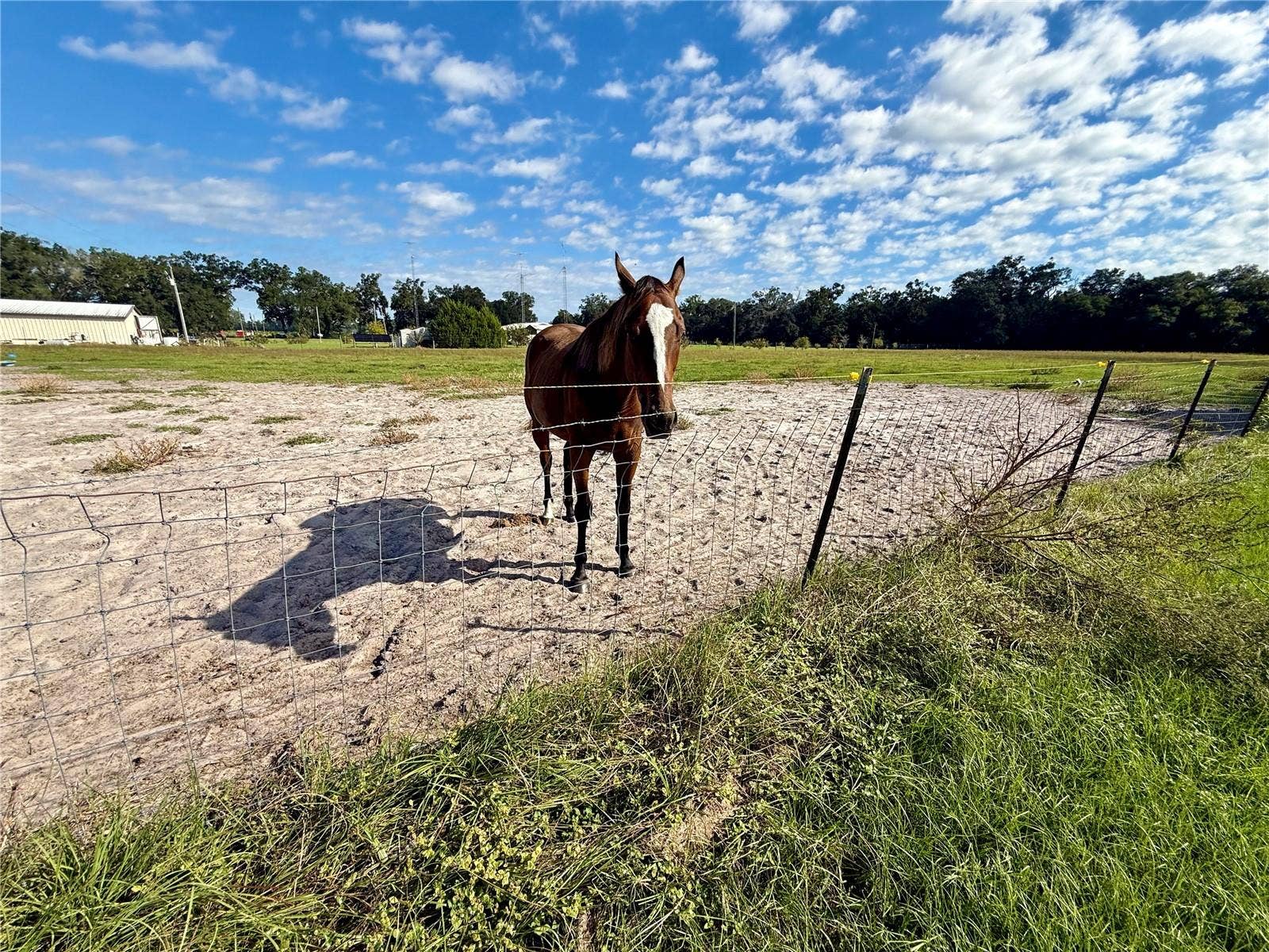 23667 81ST ROAD, O'brien, FL 32071 23667 81ST ROAD, O'brien, FL 32071