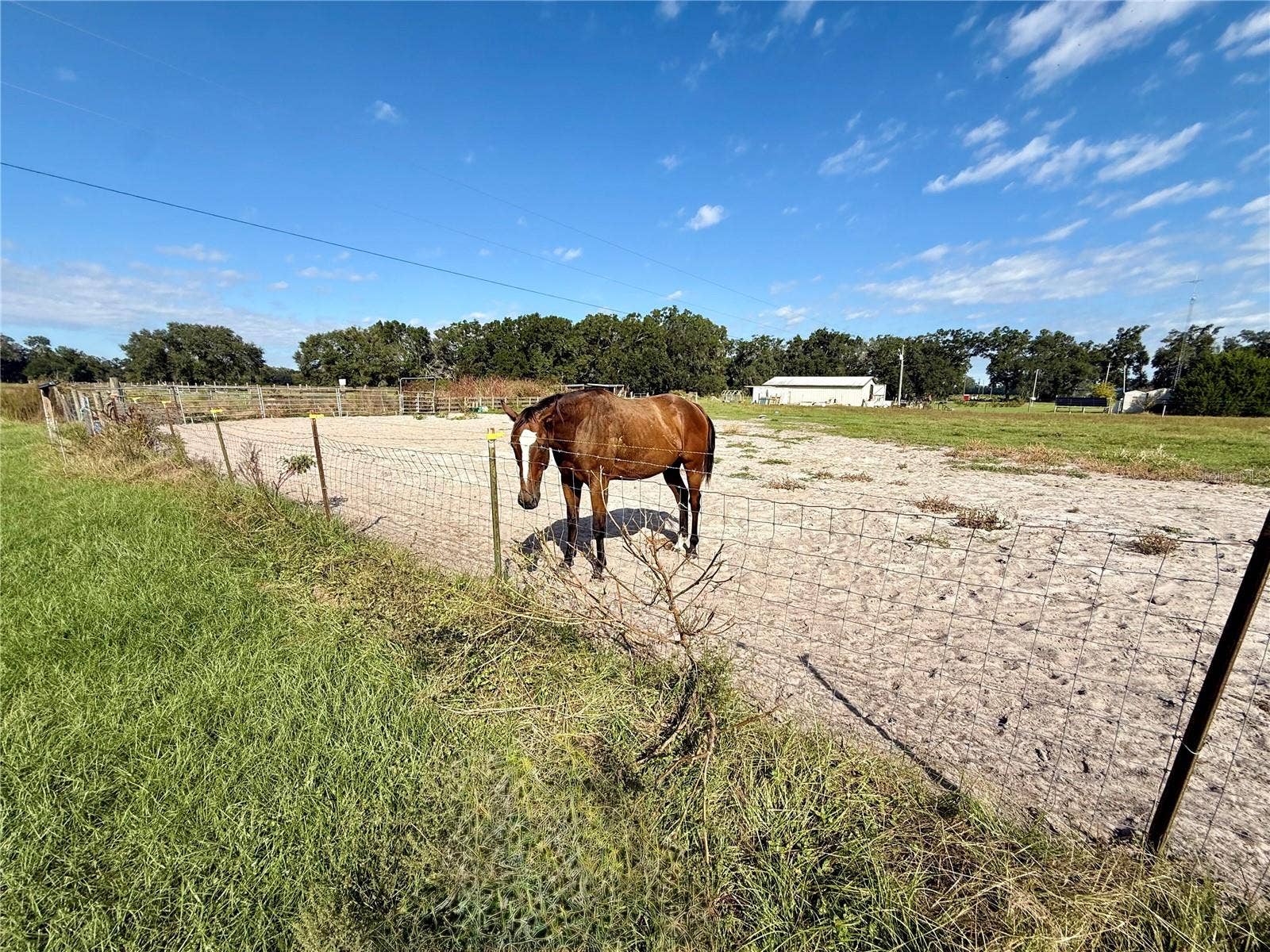 23667 81ST ROAD, O'brien, FL 32071 23667 81ST ROAD, O'brien, FL 32071