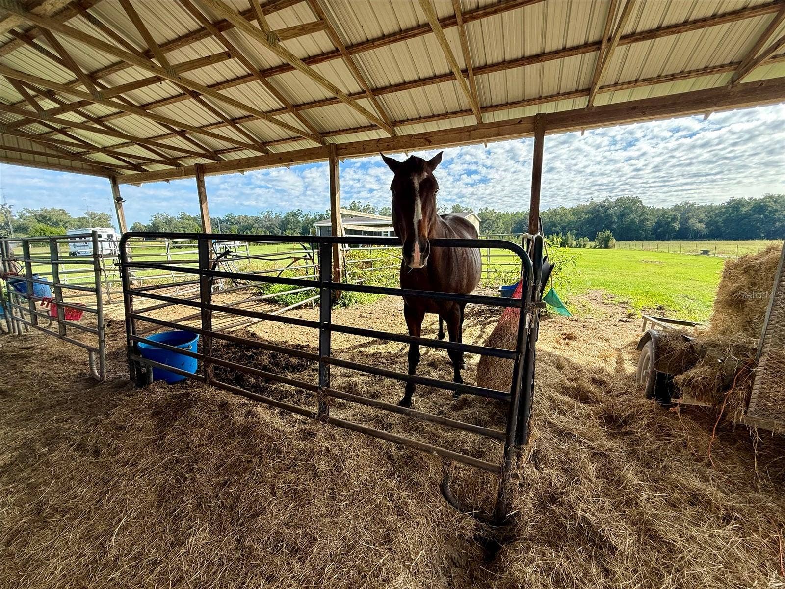 23667 81ST ROAD, O'brien, FL 32071 23667 81ST ROAD, O'brien, FL 32071