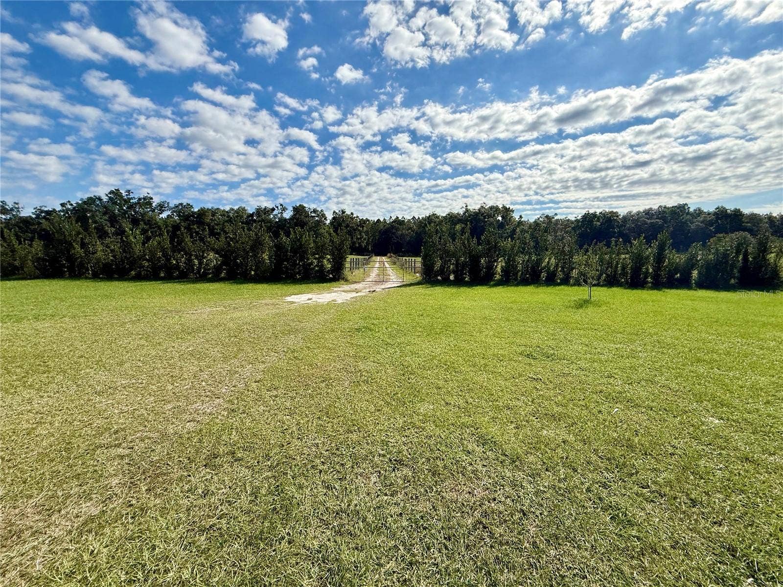 23667 81ST ROAD, O'brien, FL 32071 23667 81ST ROAD, O'brien, FL 32071