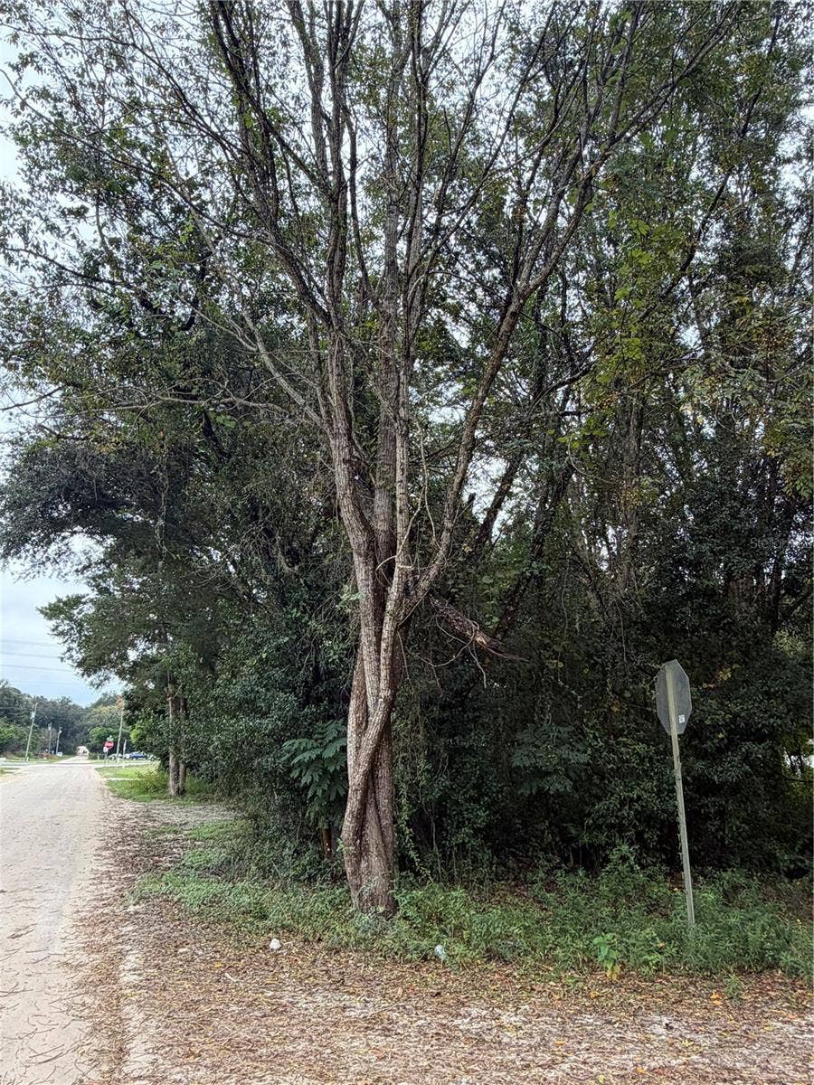 TBD SE 35TH COURT, Summerfield, FL 34491 Corner of SE 35th Ct / SE 140th PL