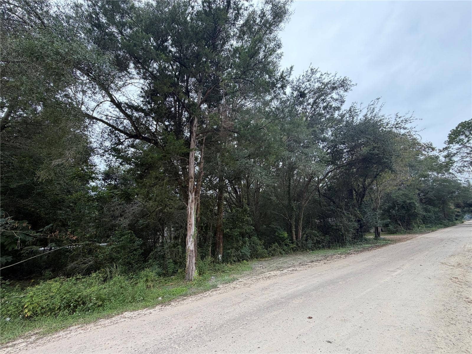TBD SE 35TH COURT, Summerfield, FL 34491 Side of Lot on SE 140th PL
