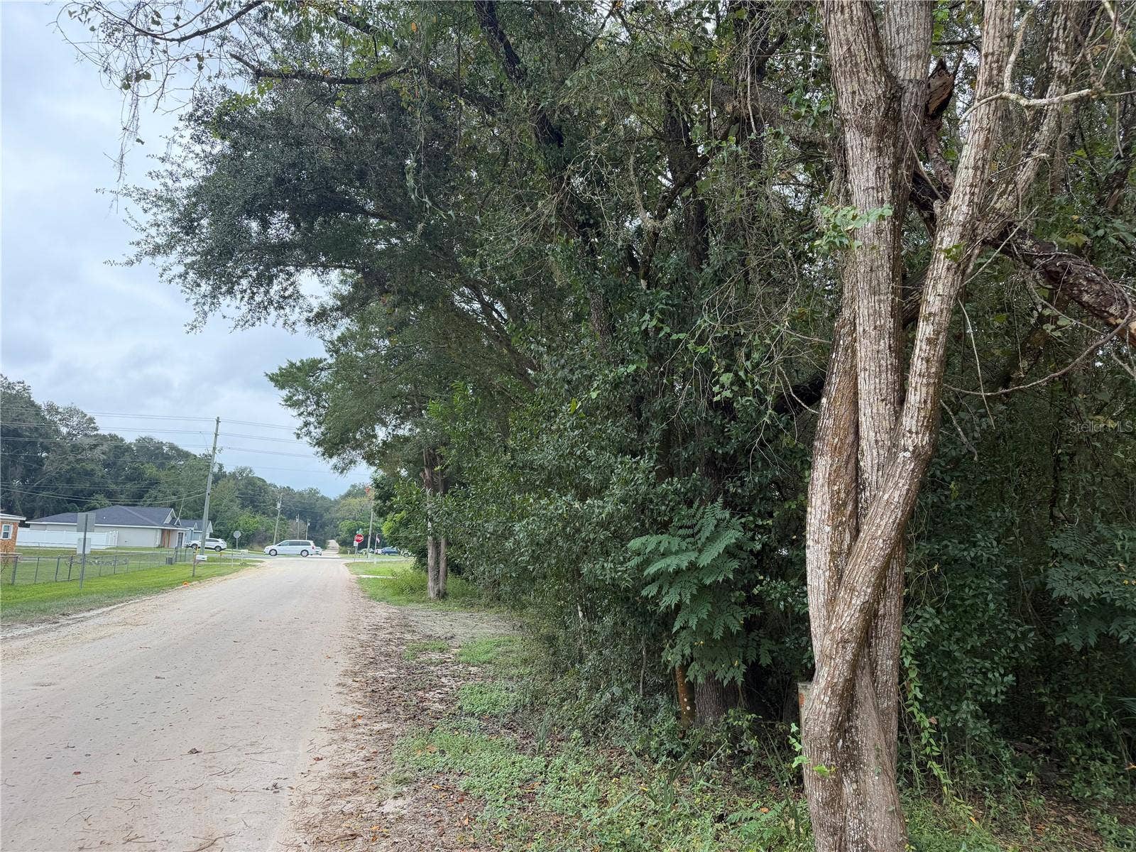 TBD SE 35TH COURT, Summerfield, FL 34491 Road on SE 140th PL toward SE 36th Ave