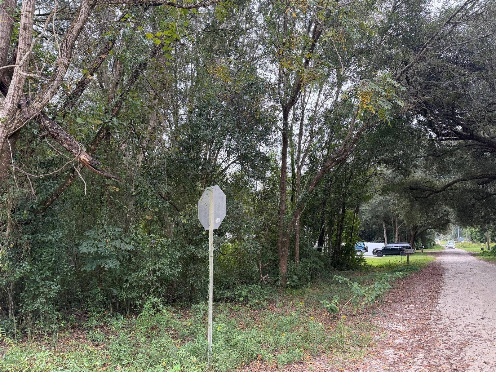 TBD SE 35TH COURT, Summerfield, FL 34491 Road on SE 35th CT