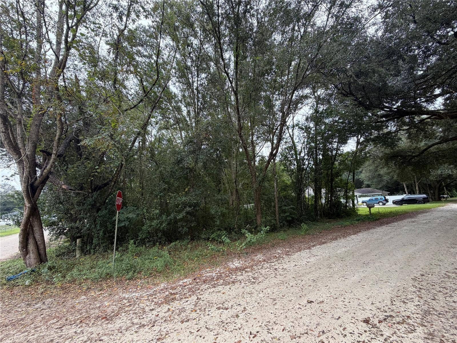 TBD SE 35TH COURT, Summerfield, FL 34491 Front of Lot on SE 35th CT