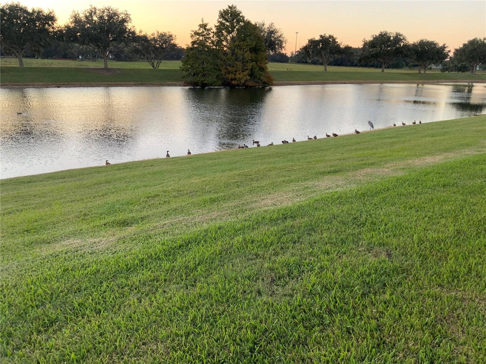 2908 MANOR DOWNS, The Villages, FL 32162 2908 MANOR DOWNS, The Villages, FL 32162
