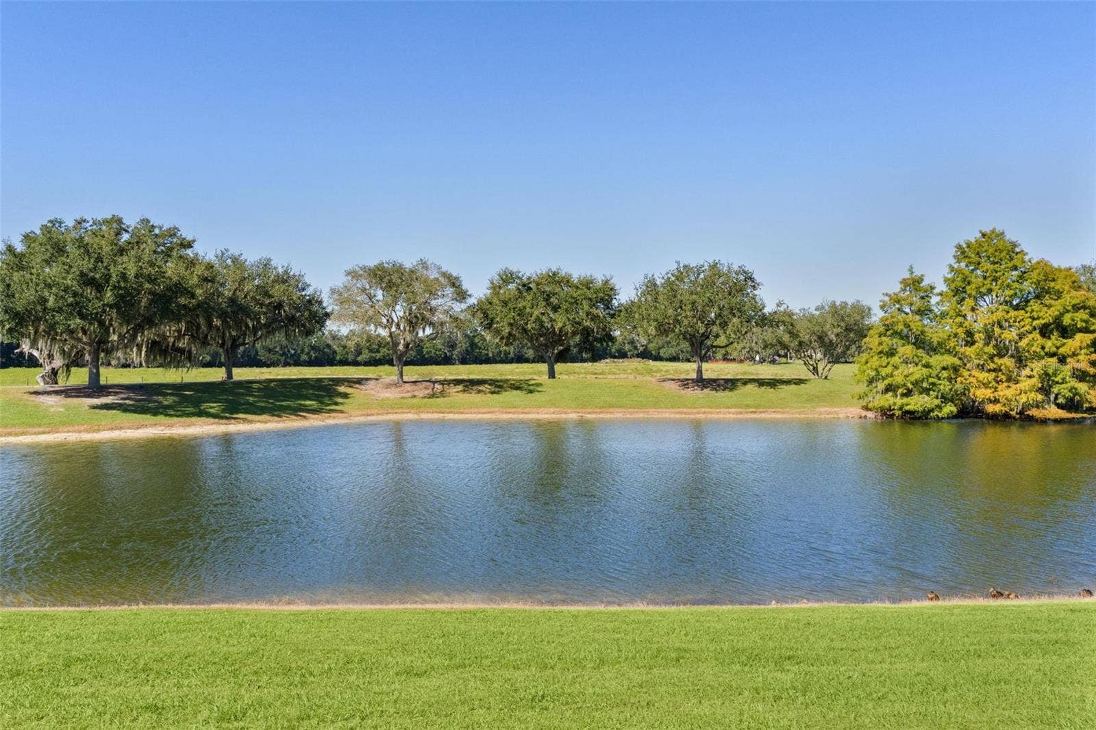 2908 MANOR DOWNS, The Villages, FL 32162 2908 MANOR DOWNS, The Villages, FL 32162