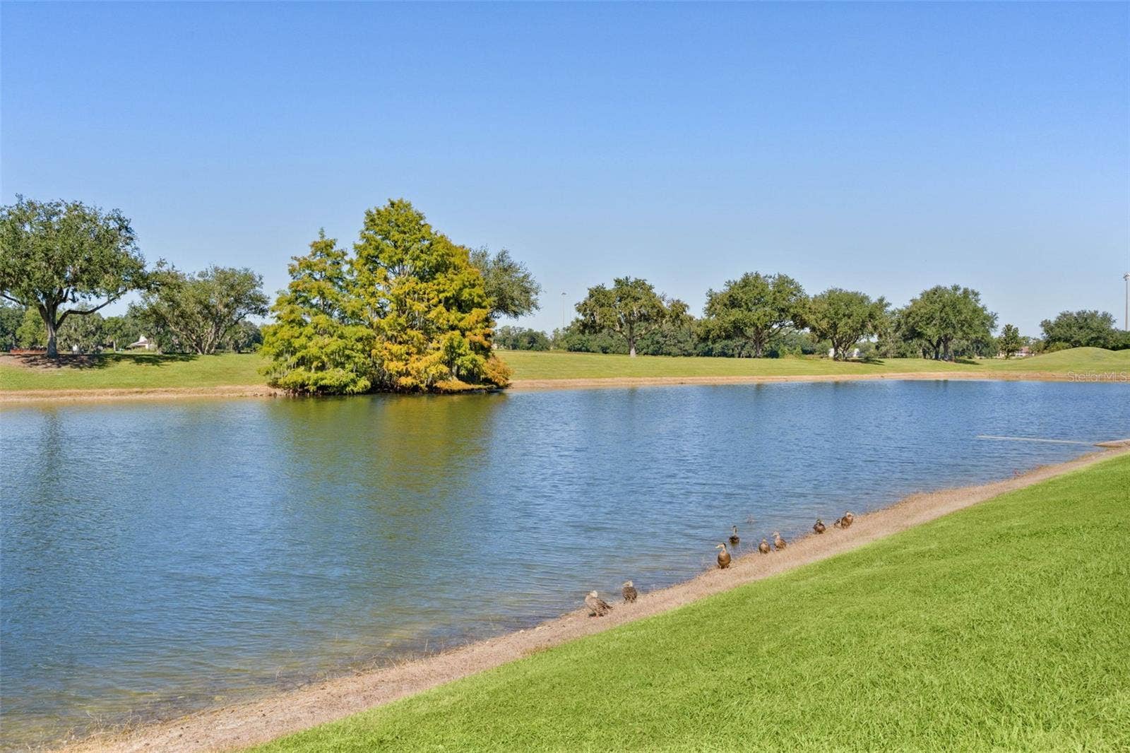 2908 MANOR DOWNS, The Villages, FL 32162 2908 MANOR DOWNS, The Villages, FL 32162