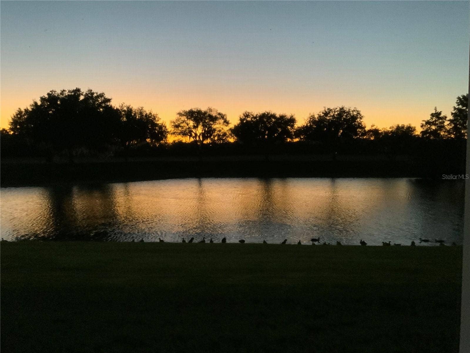 2908 MANOR DOWNS, The Villages, FL 32162 2908 MANOR DOWNS, The Villages, FL 32162