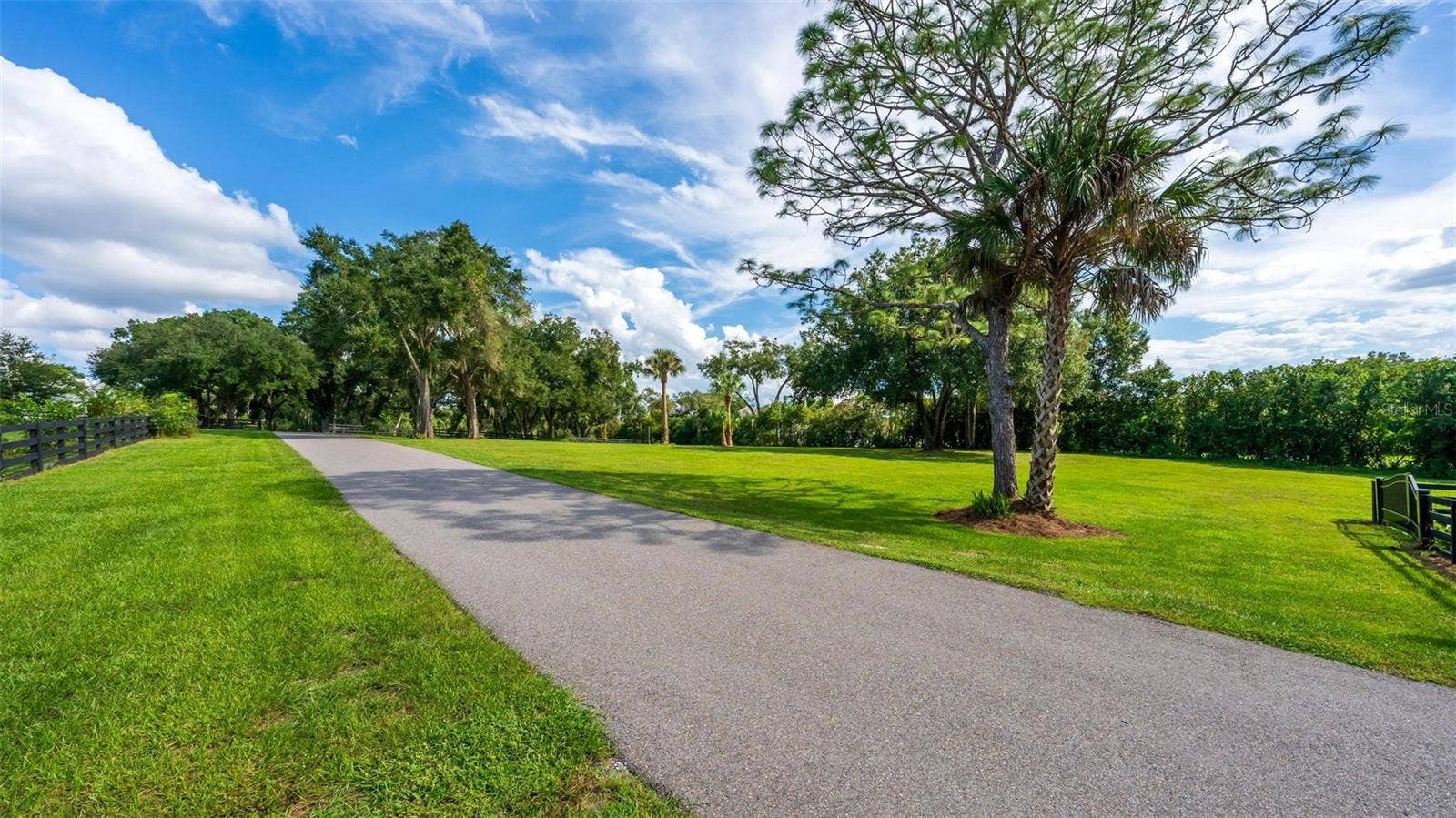 TBD CLAYTON STREET, Mount Dora, FL 32757