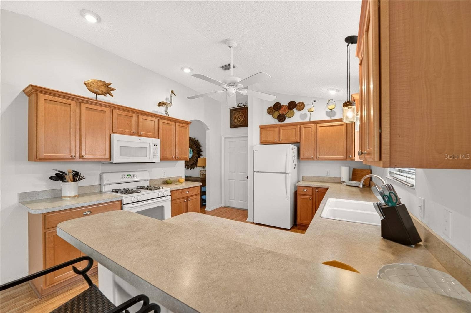 1743 OCONEE PLACE, The Villages, FL 32162
