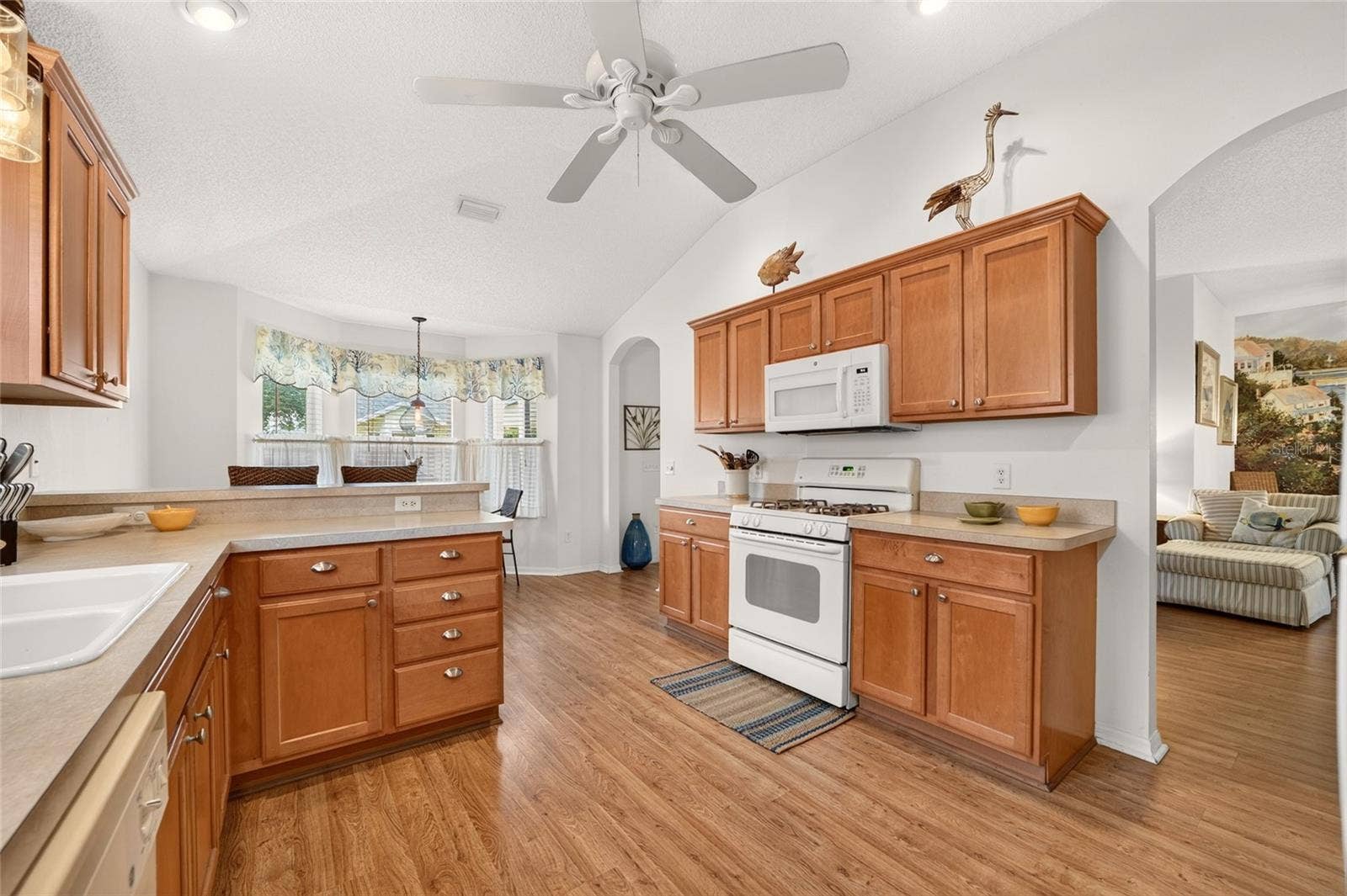 1743 OCONEE PLACE, The Villages, FL 32162